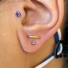 Load image into Gallery viewer, Leon Seamless Clicker