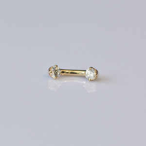 Round Prong 14G Threaded Curved Barbell