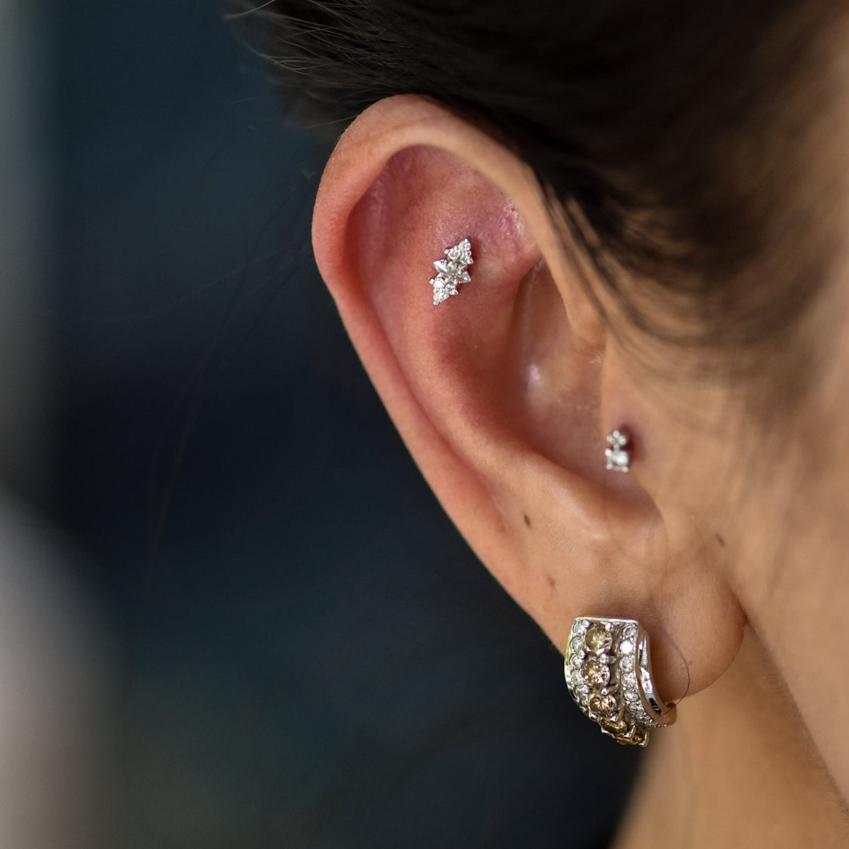 Tawapa Mimosa Threadless End – Piercing Day Studio