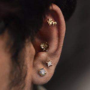 Tawapa Orchid Threadless End
