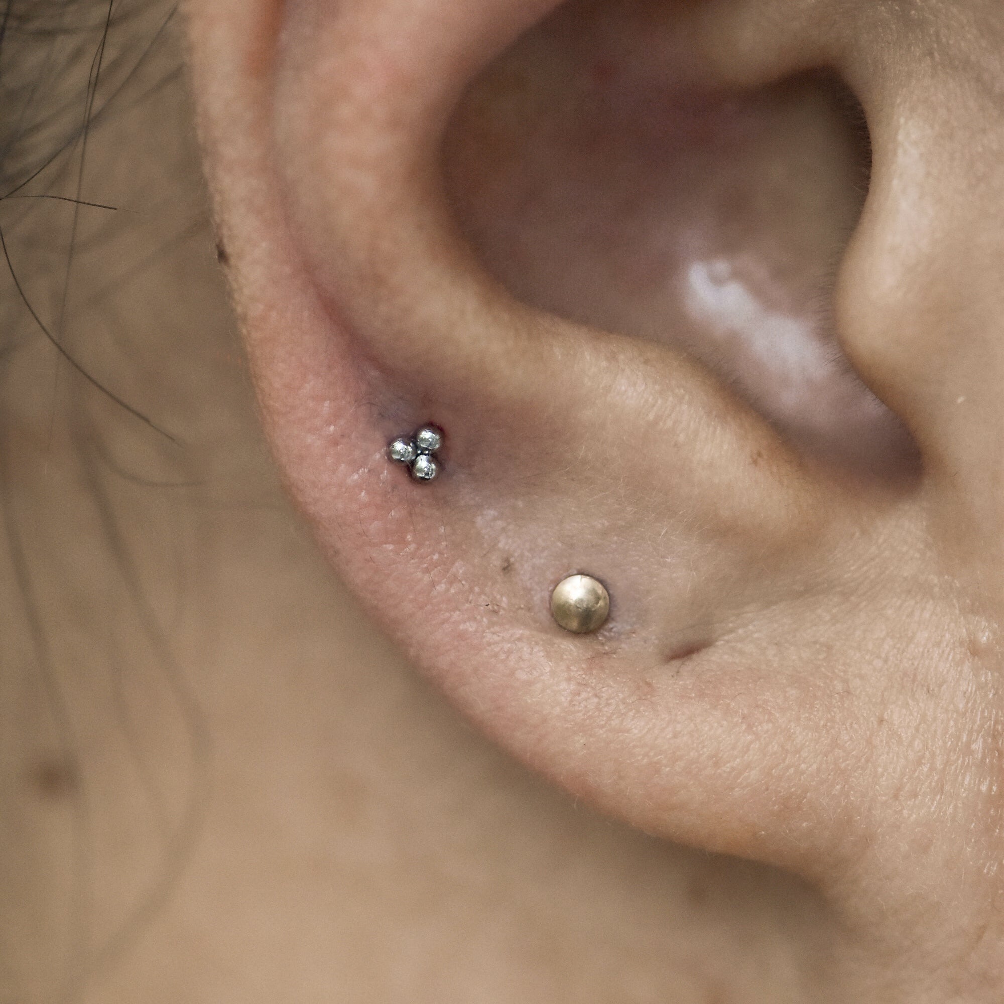 Piercing Pds Neometal Disk Threadless End – Piercing Day Studio