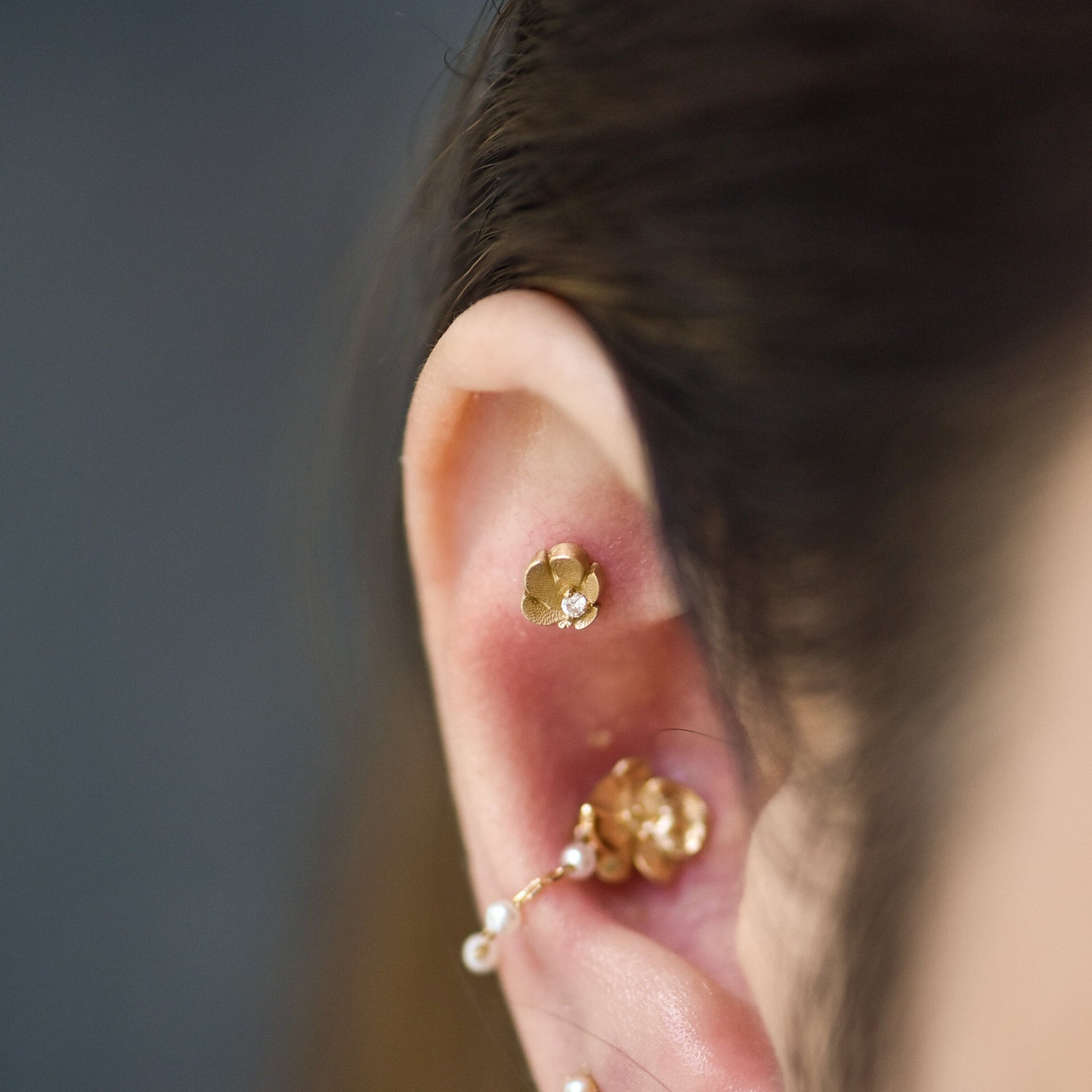 Piercing Pds Pupil Hall Dandy with Diamond Threadless End – Piercing Day Studio