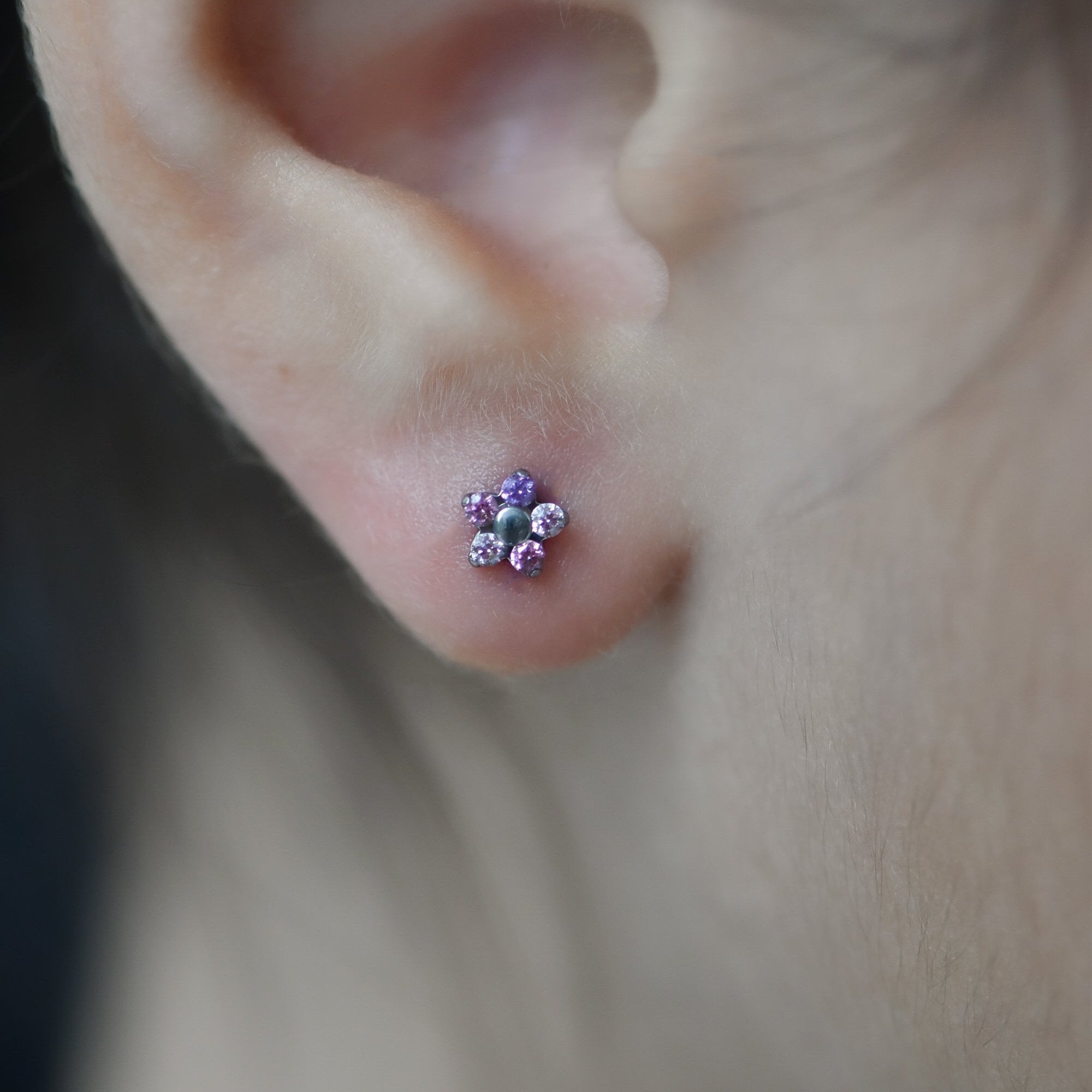 Piercing Pds Neopetal Dreamland Threadless End (Various Colors) – Piercing Day Studio