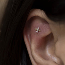 Load image into Gallery viewer, Axis Threadless End