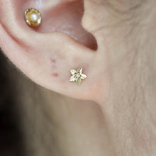 Load image into Gallery viewer, Lula Threadless End