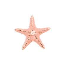 Load image into Gallery viewer, Starfish Threadless End
