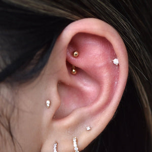 Piercing Pds Solid Gold Threadless Curved Barbell – Piercing Day Studio