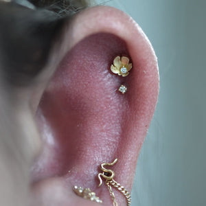 Piercing Pds Pupil Hall Dandy with Diamond Threadless End – Piercing Day Studio