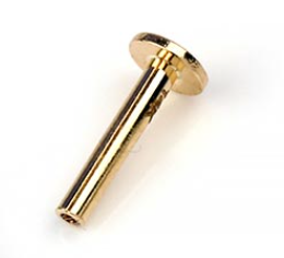 14k Gold Threadless Labret